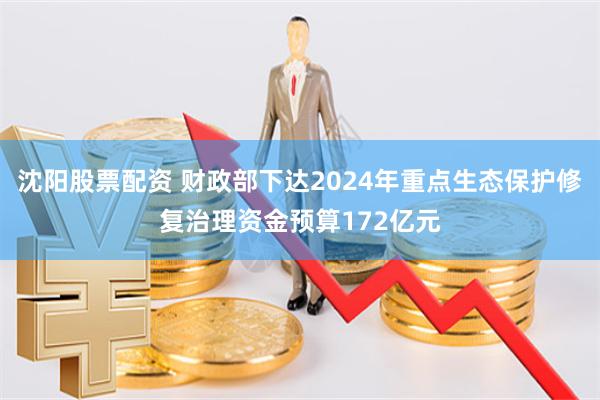 沈阳股票配资 财政部下达2024年重点生态保护修复治理资金预算172亿元