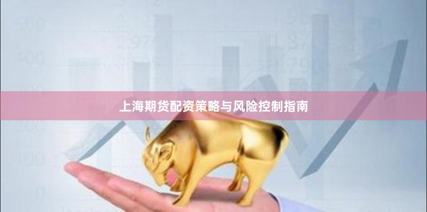 上海期货配资策略与风险控制指南