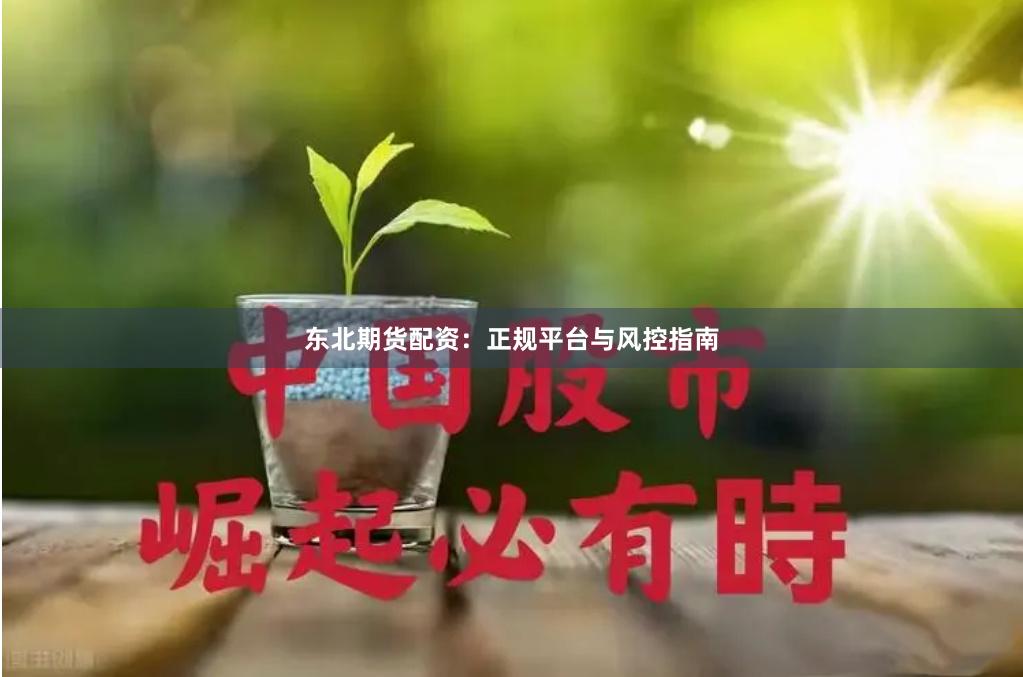 东北期货配资：正规平台与风控指南