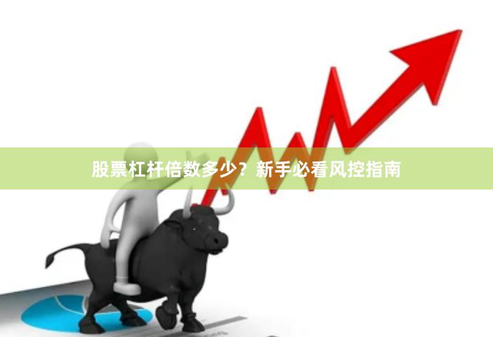 股票杠杆倍数多少？新手必看风控指南